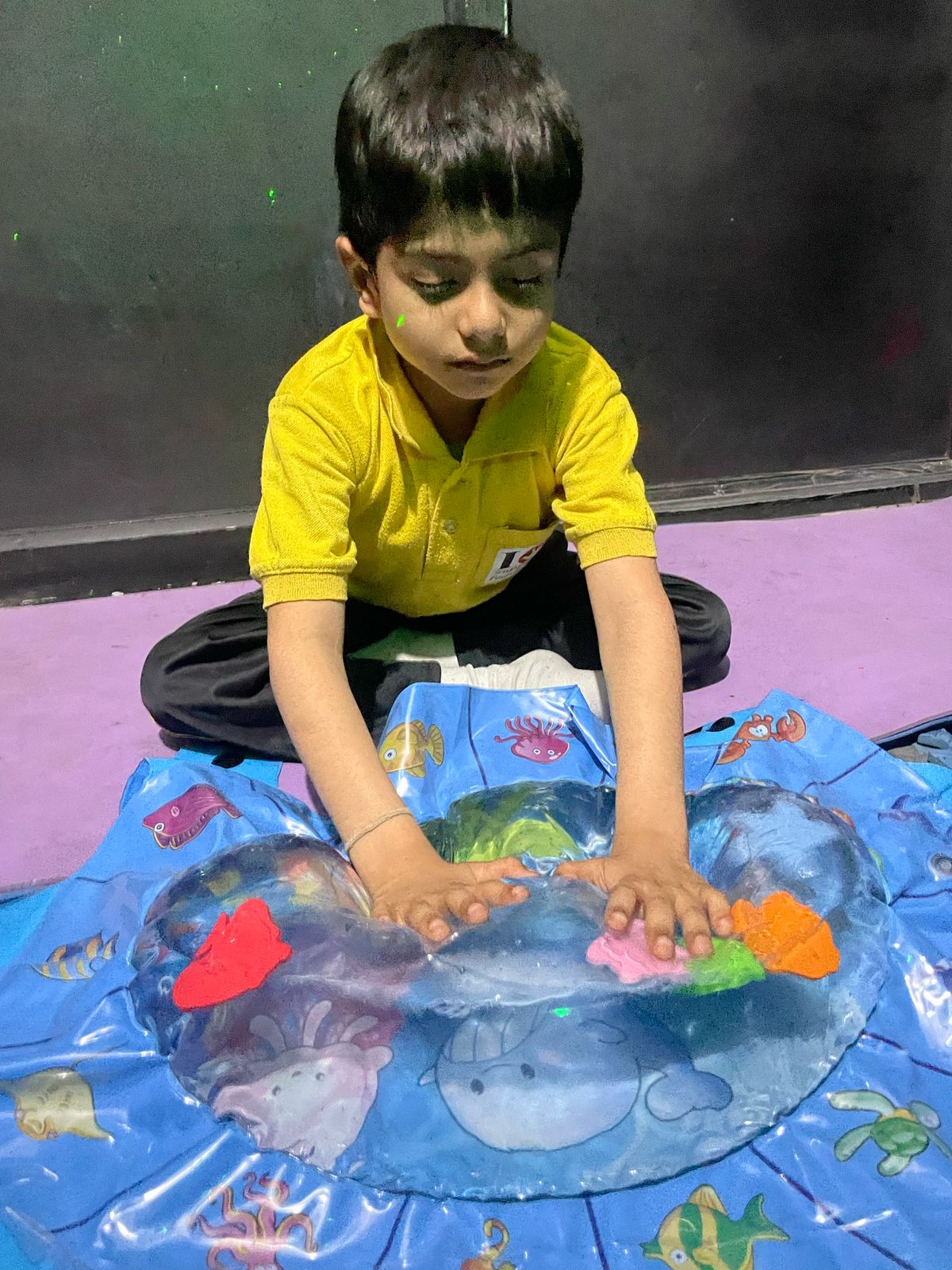 Sensory Integration Therapy
